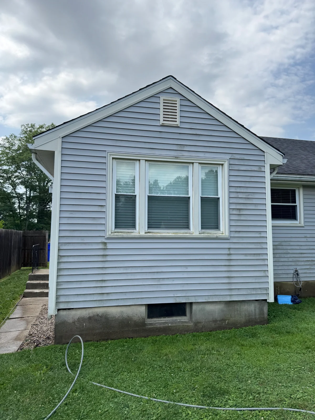 Real house siding before washing with algae buildup